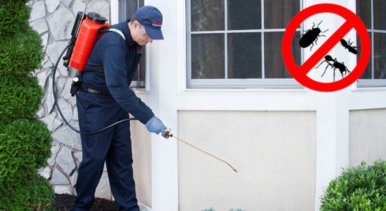 Suruç Kemirgen İlaçlama böcek ilaçlama ve haşere kontrolü — ilaclama-tr.com